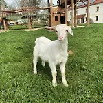 Biofarma Slunecna 3*