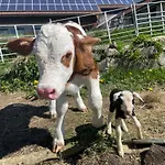 Biofarma Slunecna 3* Želnava