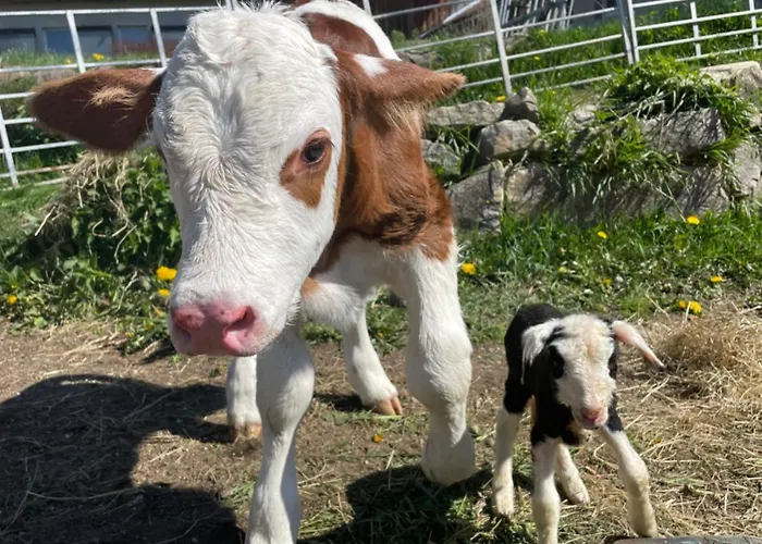 Biofarma Slunecna 3* Želnava